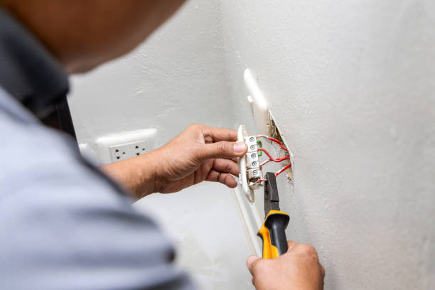 Best Electric Panel Repair  in , NH